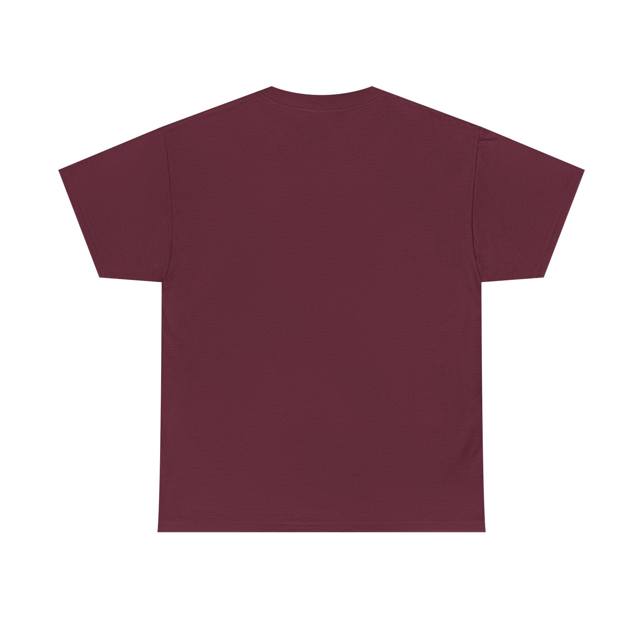 Cast Your Cares Away on the White River | Unisex Heavy Cotton Tee