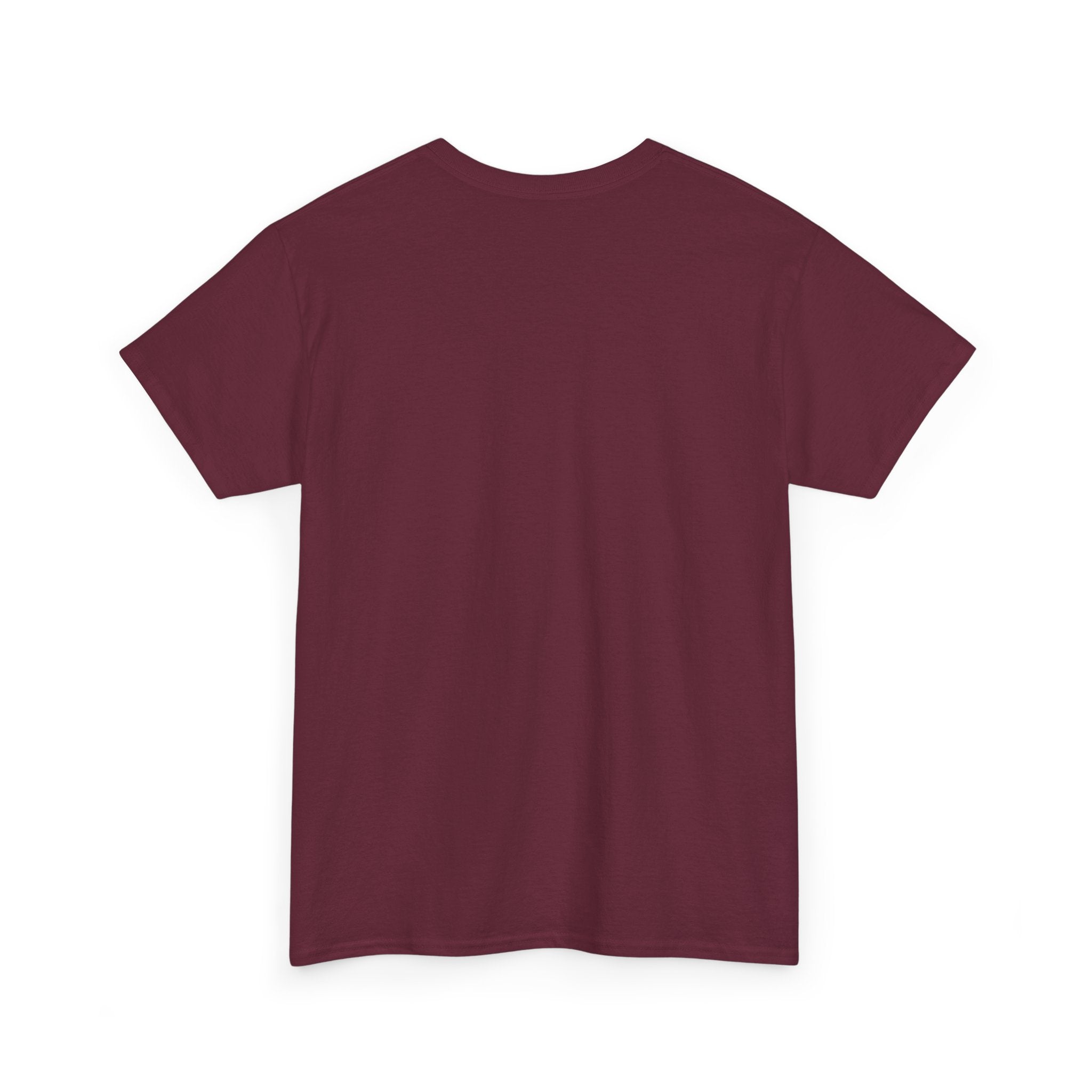 Cast Your Cares Away on the White River | Unisex Heavy Cotton Tee